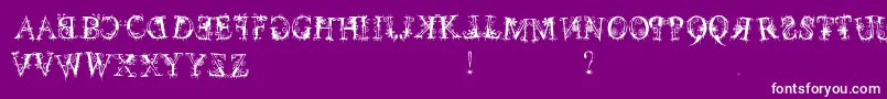 December Font – White Fonts on Purple Background