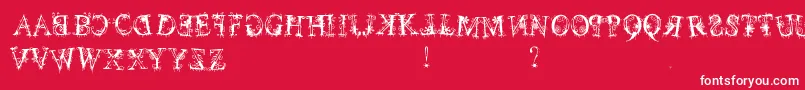 December Font – White Fonts on Red Background