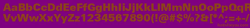 UniversNextProBlack Font – Brown Fonts on Purple Background