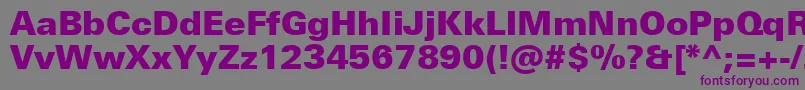 UniversNextProBlack Font – Purple Fonts on Gray Background