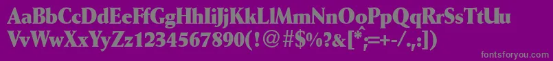 WeinantikcondbBold Font – Gray Fonts on Purple Background