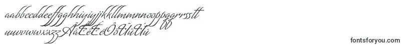 フォントMatogrossoScript – フリジアンフォント
