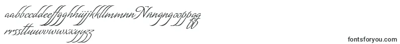 フォントMatogrossoScript – フィリピンのフォント