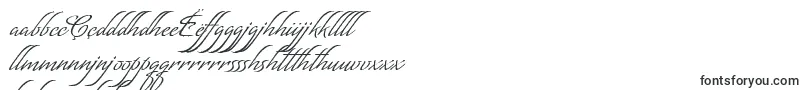 Czcionka MatogrossoScript – czcionki n'yanja