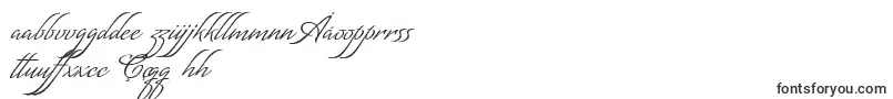 MatogrossoScript Font – Uzbek Fonts