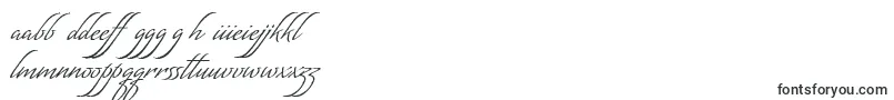 Police MatogrossoScript – polices maltaises