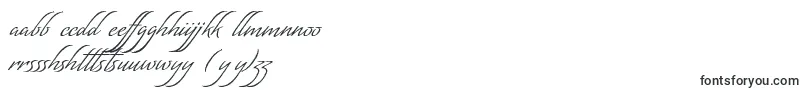 MatogrossoScript-fontti – hausan fontit