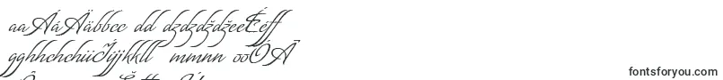 MatogrossoScript Font – Slovak Fonts