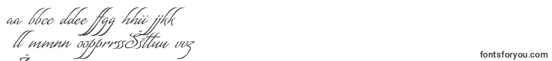 fuente MatogrossoScript – Fuentes letonas