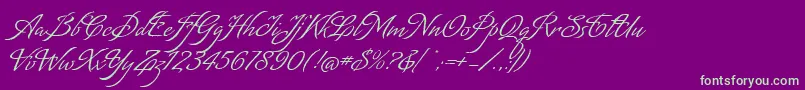 MatogrossoScript Font – Green Fonts on Purple Background