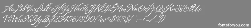 MatogrossoScript Font – White Fonts on Gray Background