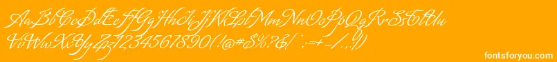 MatogrossoScript Font – White Fonts on Orange Background