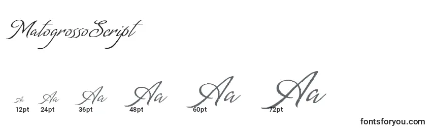 MatogrossoScript Font Sizes