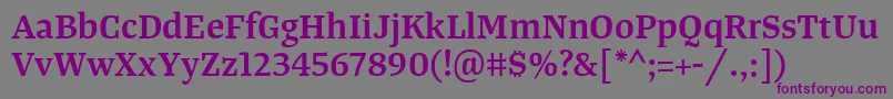 Шрифт TangerserifmediumSemibold – фиолетовые шрифты на сером фоне