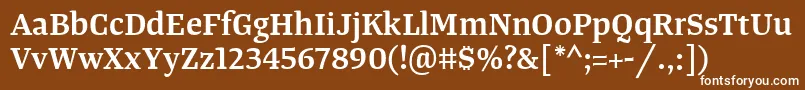 フォントTangerserifmediumSemibold – 茶色の背景に白い文字