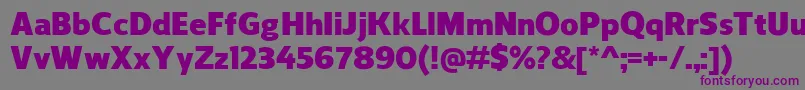 ReganBlack Font – Purple Fonts on Gray Background