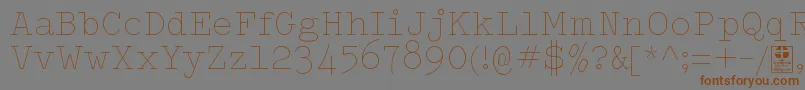 Шрифт TypowriterThinDemo – коричневые шрифты на сером фоне