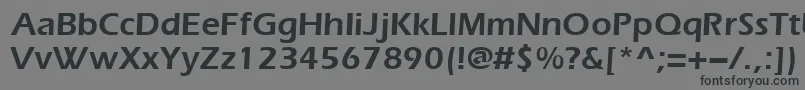Шрифт Evrsd – чёрные шрифты на сером фоне