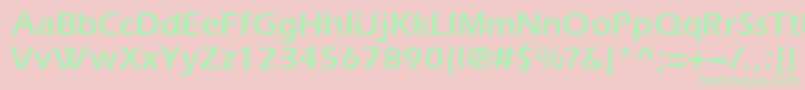 Evrsd Font – Green Fonts on Pink Background