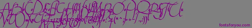 Wankstabergbattles Font – Purple Fonts on Gray Background
