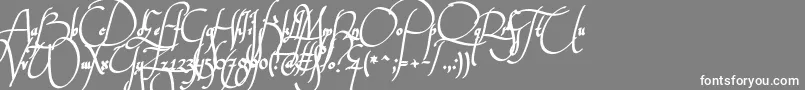 Wankstabergbattles Font – White Fonts on Gray Background