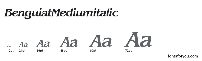 Größen der Schriftart BenguiatMediumitalic