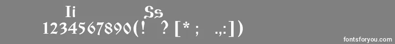 フォントIzhitsaos – 灰色の背景に白い文字