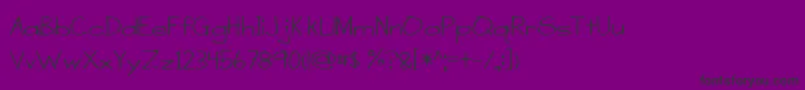 BmdASensibleArmadillo Font – Black Fonts on Purple Background