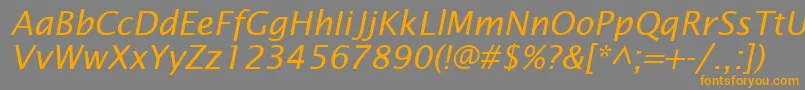 フォントInsightSansSsiItalic – オレンジの文字は灰色の背景にあります。