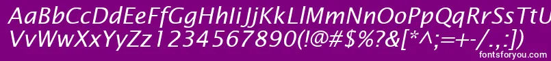 InsightSansSsiItalic Font – White Fonts on Purple Background