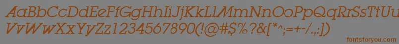 LugabookadBookOblique Font – Brown Fonts on Gray Background