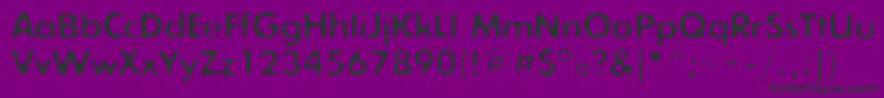 Exposureroughonec Font – Black Fonts on Purple Background