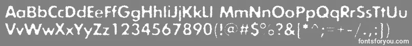 Exposureroughonec Font – White Fonts on Gray Background