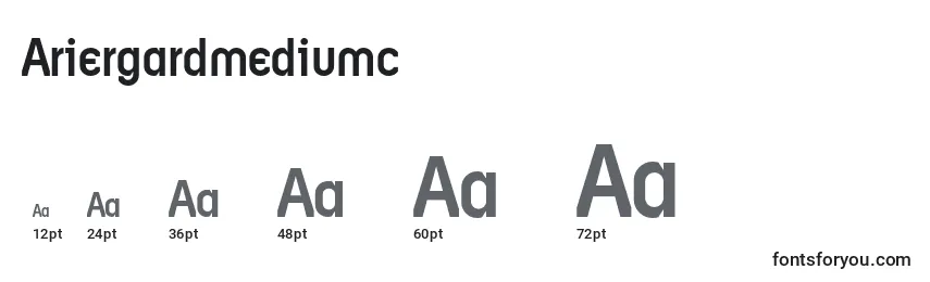 Размеры шрифта Ariergardmediumc
