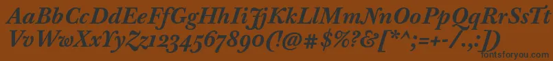 BaskervilleTenProBoldItalic Font – Black Fonts on Brown Background