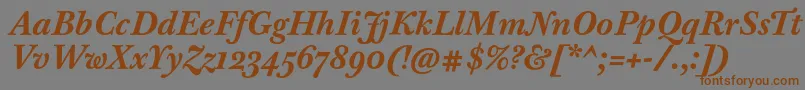 BaskervilleTenProBoldItalic-fontti – ruskeat fontit harmaalla taustalla