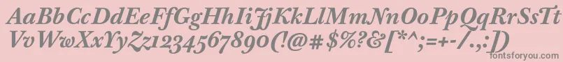 BaskervilleTenProBoldItalic Font – Gray Fonts on Pink Background