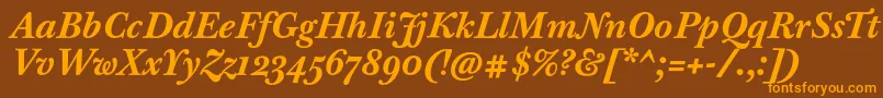 BaskervilleTenProBoldItalic Font – Orange Fonts on Brown Background