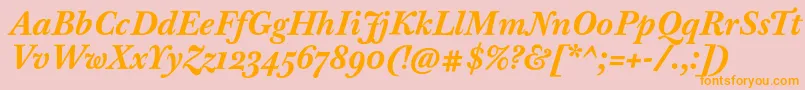 BaskervilleTenProBoldItalic Font – Orange Fonts on Pink Background