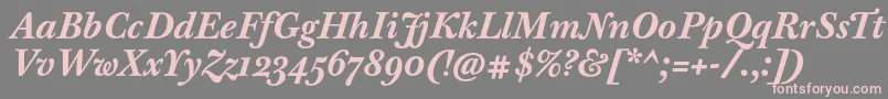 BaskervilleTenProBoldItalic Font – Pink Fonts on Gray Background