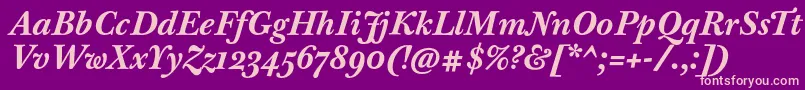 BaskervilleTenProBoldItalic Font – Pink Fonts on Purple Background