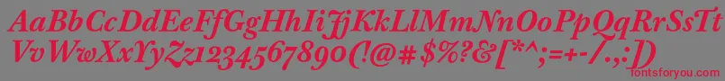 BaskervilleTenProBoldItalic Font – Red Fonts on Gray Background