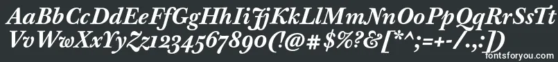 BaskervilleTenProBoldItalic Font – White Fonts