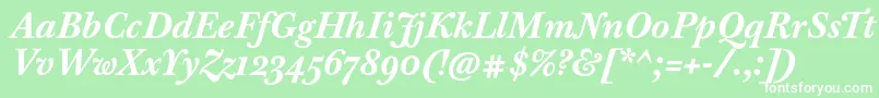BaskervilleTenProBoldItalic-Schriftart – Weiße Schriften auf grünem Hintergrund
