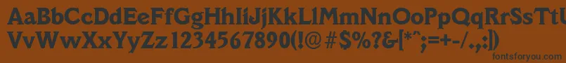 VeracruzserialXboldRegular Font – Black Fonts on Brown Background