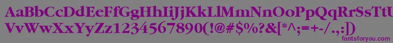 Police Garamond2CyrillicBold – polices violettes sur fond gris