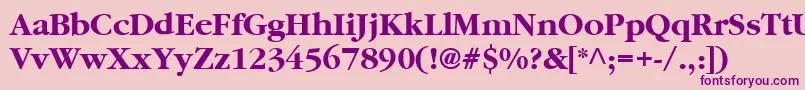 Garamond2CyrillicBold Font – Purple Fonts on Pink Background