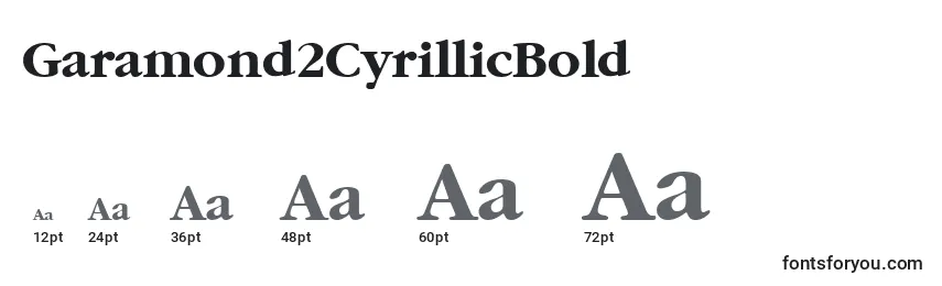 Размеры шрифта Garamond2CyrillicBold