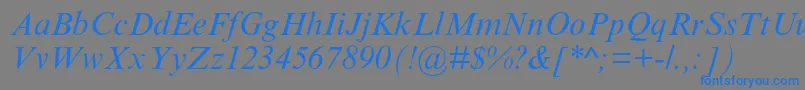 フォントTimesnewromanmtstdItalic – 灰色の背景に青い文字