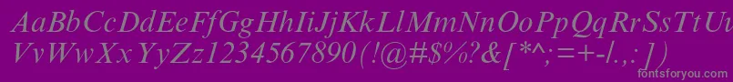 TimesnewromanmtstdItalic Font – Gray Fonts on Purple Background
